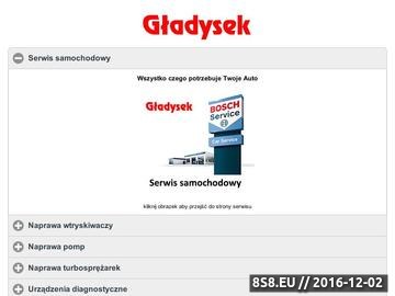 Zrzut strony Urządzenia diagnostyczne, ESI[tronic], serwis urządzeń Gładysek Kraków