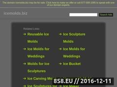 Thumbnail of Ice Sculpture Molds Website