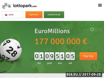 Zrzut strony Lotto przez Internet