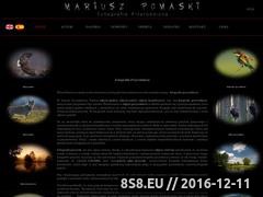 Thumbnail of Nature Photography Poland - Mariusz Pomaski Website