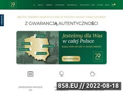 Miniaturka domeny 79element.pl