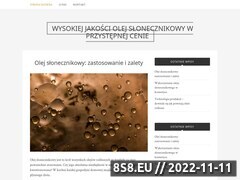 Miniaturka domeny www.adwokatkudryckibialystok.pl