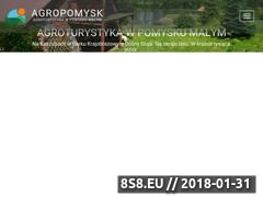 Miniaturka agropomysk.pl (Agroturystyka)