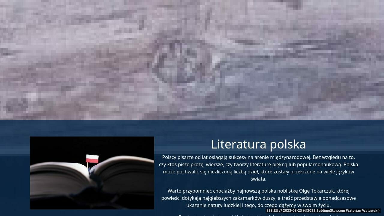 Portal literacki allarte.pl (strona www.allarte.pl - Allarte.pl)