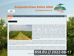 Miniaturka www.ama.agro.pl (<strong>uprawa</strong> Borówki)