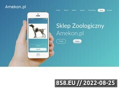 Miniaturka domeny www.amekon.pl