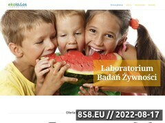 Miniaturka analizazywnosci.pl (Badanie żywności)