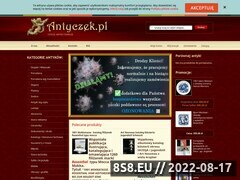 Miniaturka www.antyczek.pl (Internetowy sklep z antykami i starociami Antyczek)