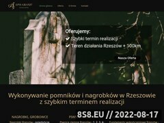 Miniaturka domeny apisgranit.pl