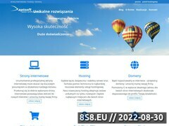 Miniaturka www.apisoft.pl (Strony internetowe)