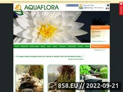 Miniaturka domeny www.aquaflora.pl