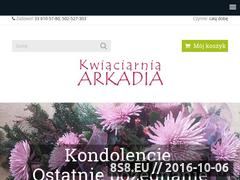 Miniaturka domeny www.arkadia.ig.pl