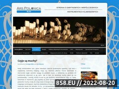 Miniaturka arspolonica.ocross.net (Zabytkowe instrumenty muzyczne - Ars Polonica)
