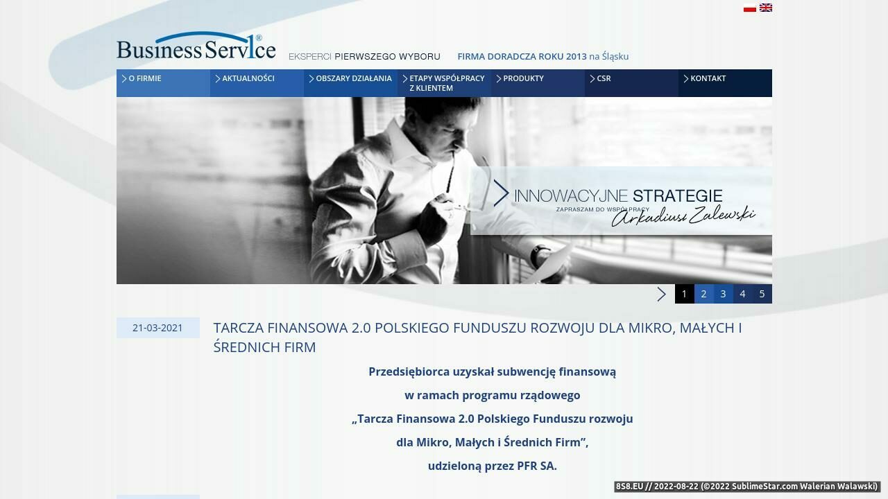 Zrzut ekranu Business Service Sp. z o.o. - controlling, doradztwo, budżetowanie
