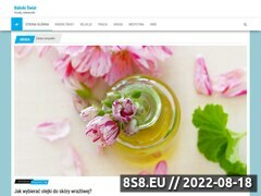 Miniaturka domeny babski-swiat.com.pl