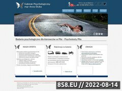 Miniaturka badaniekierowcy.pl (Badania psychologiczne kierowców i szkolenia)