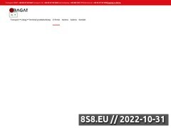 Miniaturka domeny www.bagat.eu