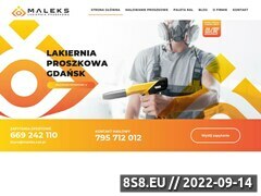 Zrzut strony Malarnia proszkowa Gdańsk - Baleks