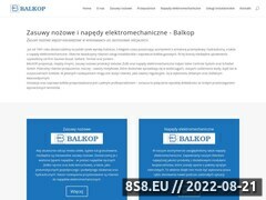 Miniaturka domeny www.balkop.pl