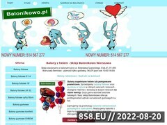 Miniaturka domeny www.balonikowo.pl