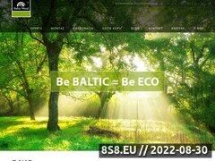 Miniaturka domeny www.balticwood.pl
