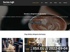 Miniaturka domeny baristacaffe.pl