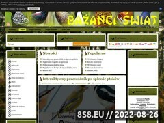 Miniaturka domeny bazanci-swiat.com.pl