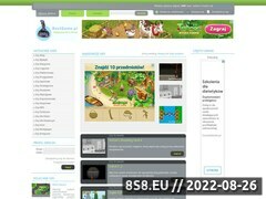 Miniaturka domeny www.bestgame.pl