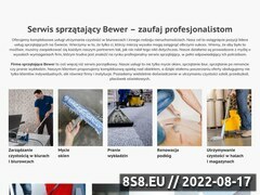 Miniaturka bewer.pl (Usługi porządkowe)