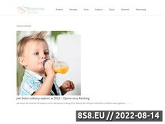 Miniaturka bezpiecznybrzdac.pl (Produkty dla dzieci Bezpieczny Brzdąc)