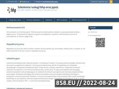 Miniaturka domeny bhp-torun.coo.pl