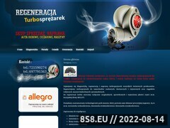 Miniaturka domeny bi-turbo.pl