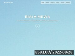 Miniaturka domeny www.biala-mewa.pl
