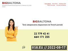 Miniaturka domeny bigbaltona.pl
