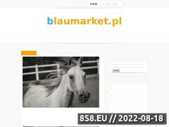 Miniaturka domeny blaumarket.pl