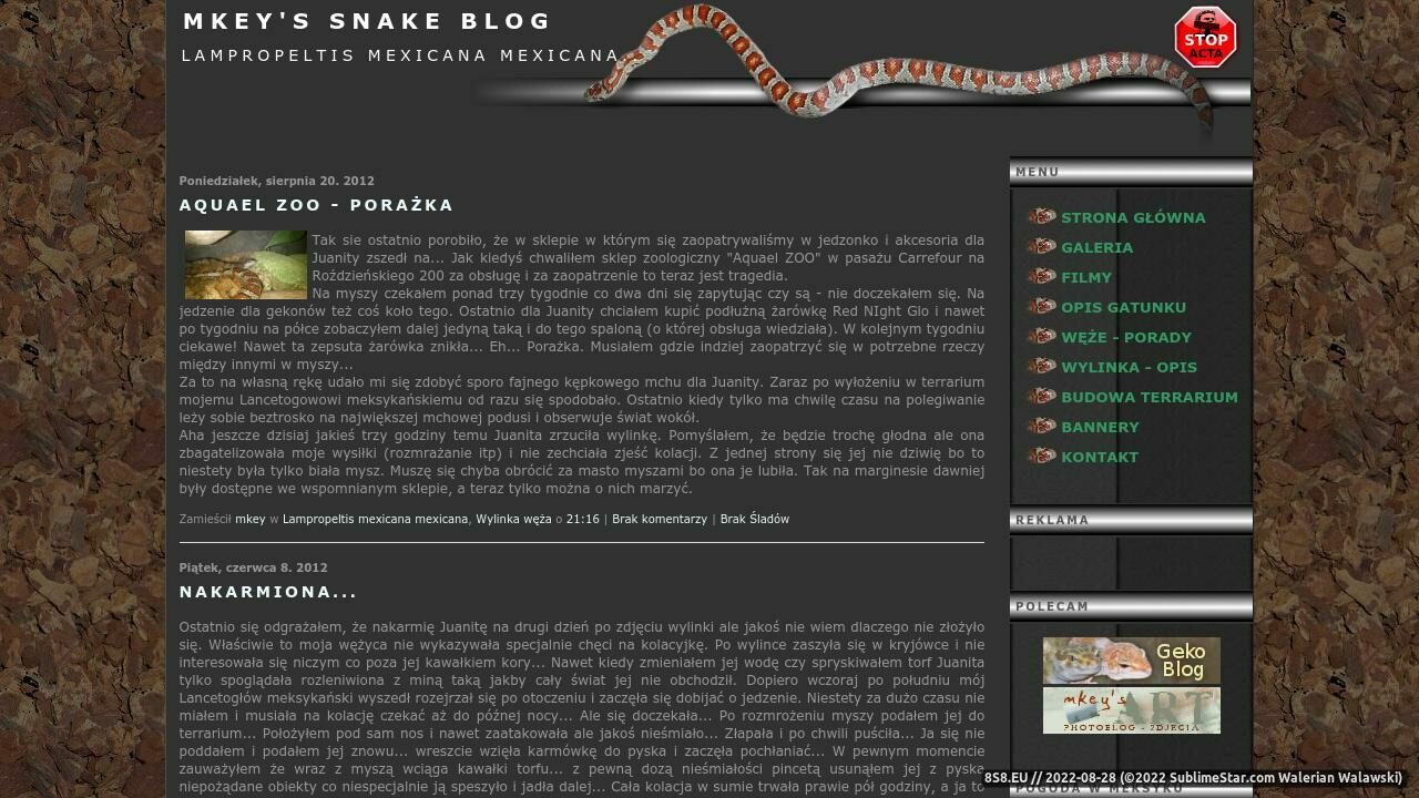 Zrzut ekranu mkey's snake blog