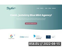 Miniaturka blue-mint.pl (Blue Mint Agency)