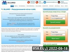Miniaturka www.blumo.pl (Pozycjonowanie stron, tworzenie stron i projektowanie)