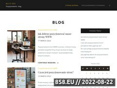 Miniaturka bluseo.pl (Pozycjonowanie stron WWW)