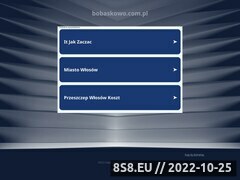Miniaturka domeny bobaskowo.com.pl