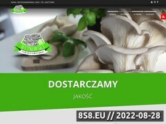 Zrzut strony Boczniaki - Gospodarstwo Uprawy Grzybów Michał Mytkowski -