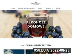 Miniaturka domeny borowkowepola.pl