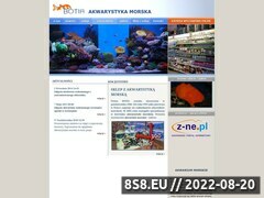 Miniaturka botia.pl (Akwarystyka morska)