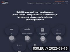 Miniaturka strony Wdrażanie systemów SAP