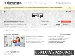 Miniaturka domeny www.brdi.pl