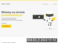 Miniaturka domeny www.bricomiechow.pl