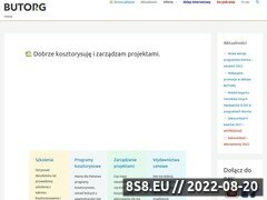 Miniaturka domeny butorg.com.pl