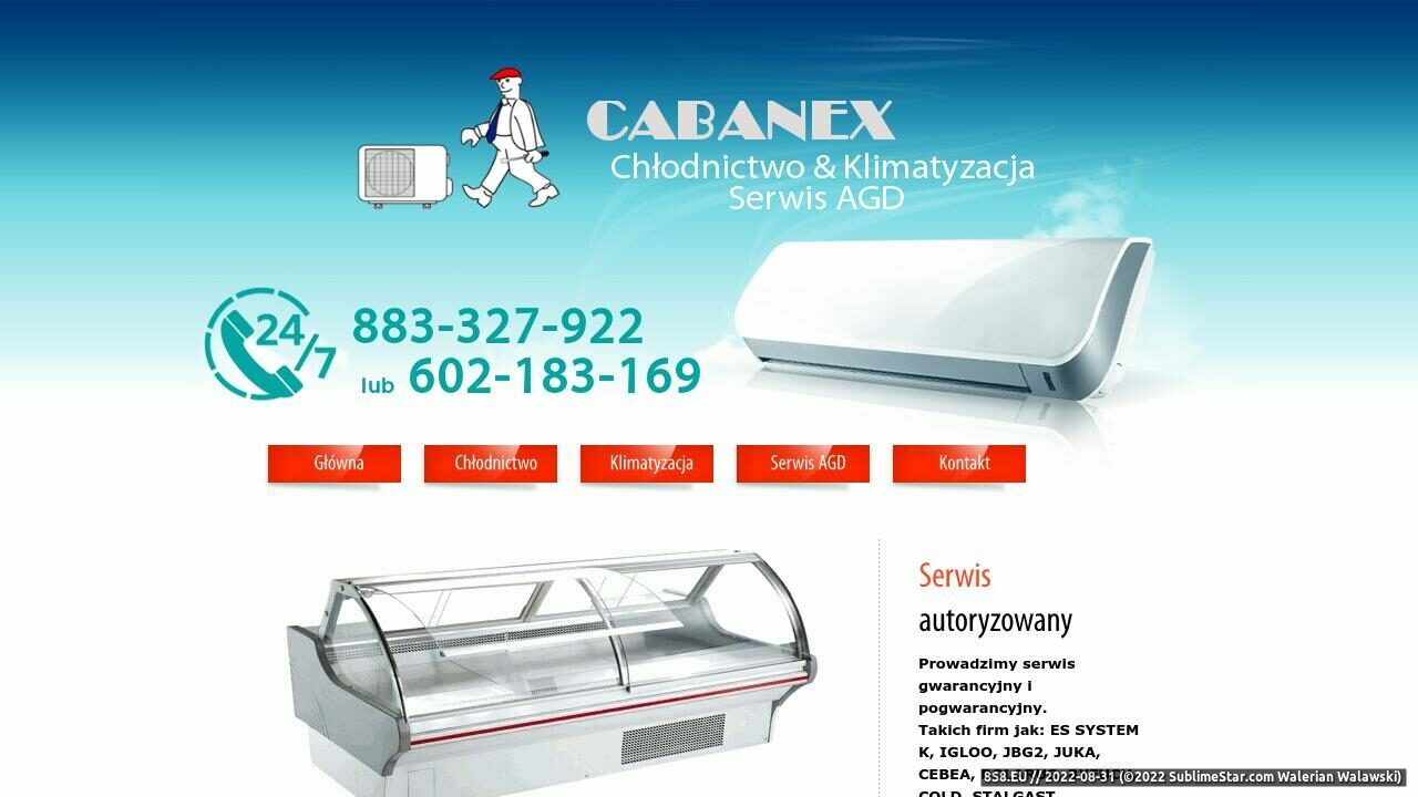 Serwis i montaż - Chłodnictwo-Klimatyzacja (strona cabanex.pl - Zuh Cabanex Serwis AGD)