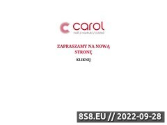 Miniaturka domeny www.carol.com.pl
