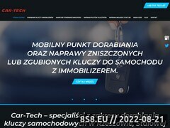 Miniaturka domeny www.cartech.auto.pl